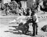 People in a local village in Yunnan province, China, threshing grain by striking the rice straw against old wooden wheels. During WWII.