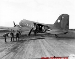 Preparing fence to stable mules before a flight on a C-47, 1944, Burma, 10AF, during WWII.  10th Army Air Force.