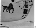 A dog poses with a B-24 which has a bulldog in hat as nose art.  In the CBI. From R. D. Lichty.