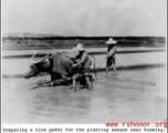 Rice farming in China, near Kunming. In the CBI.