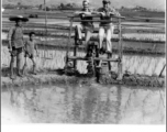 Chaplain Kelly and M. J. Hollman try out foot-powered water pump in a rice paddy in SW China during WWII, as members of farm family look on.