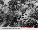 Indian riflemen firing in jungle near Pinwe, Buram. US Army Photo.