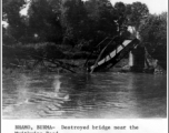 Destroyed bridge near the Myitkyina Road, Bhamo, Burma. In the CBI.  Photo by Jesse Newman