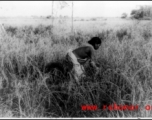 A woman working in a field in India during WWII.  Image from P. Noel.
