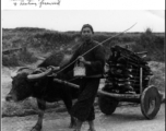 Chinese farmer with ox cart of firewood in SW China during WWII.  Photo from Jay Curtis.