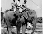 Elephant ride in India during WWII.  Photo from Irvin Persky.