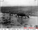 Farming in China. In the CBI.