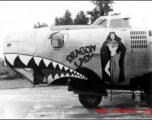 The B-24 "Dragon Lady" (serial #44-41446) in the CBI during WWII.