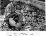 GI examines discarded "invasion currency" on a Rangoon, Burma, street near Bank of India, where it had been dumped during evacuation. Spring 1945.