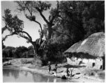 Women collect water from pond in front of house with thatched roof.  Scenes in India witnessed by American GIs during WWII. For many Americans of that era, with their limited experience traveling, the everyday sights and sounds overseas were new, intriguing, and photo worthy.