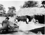 Soldier sitting on cot while local people go about chores.  Scenes in India witnessed by American GIs during WWII. For many Americans of that era, with their limited experience traveling, the everyday sights and sounds overseas were new, intriguing, and photo worthy.