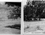 Rural countryside.  Scenes in India witnessed by American GIs during WWII. For many Americans of that era, with their limited experience traveling, the everyday sights and sounds overseas were new, intriguing, and photo worthy.