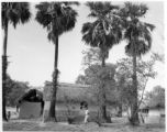 Village of tidy thatched-roof houses.  Scenes in India witnessed by American GIs during WWII. For many Americans of that era, with their limited experience traveling, the everyday sights and sounds overseas were new, intriguing, and photo worthy.